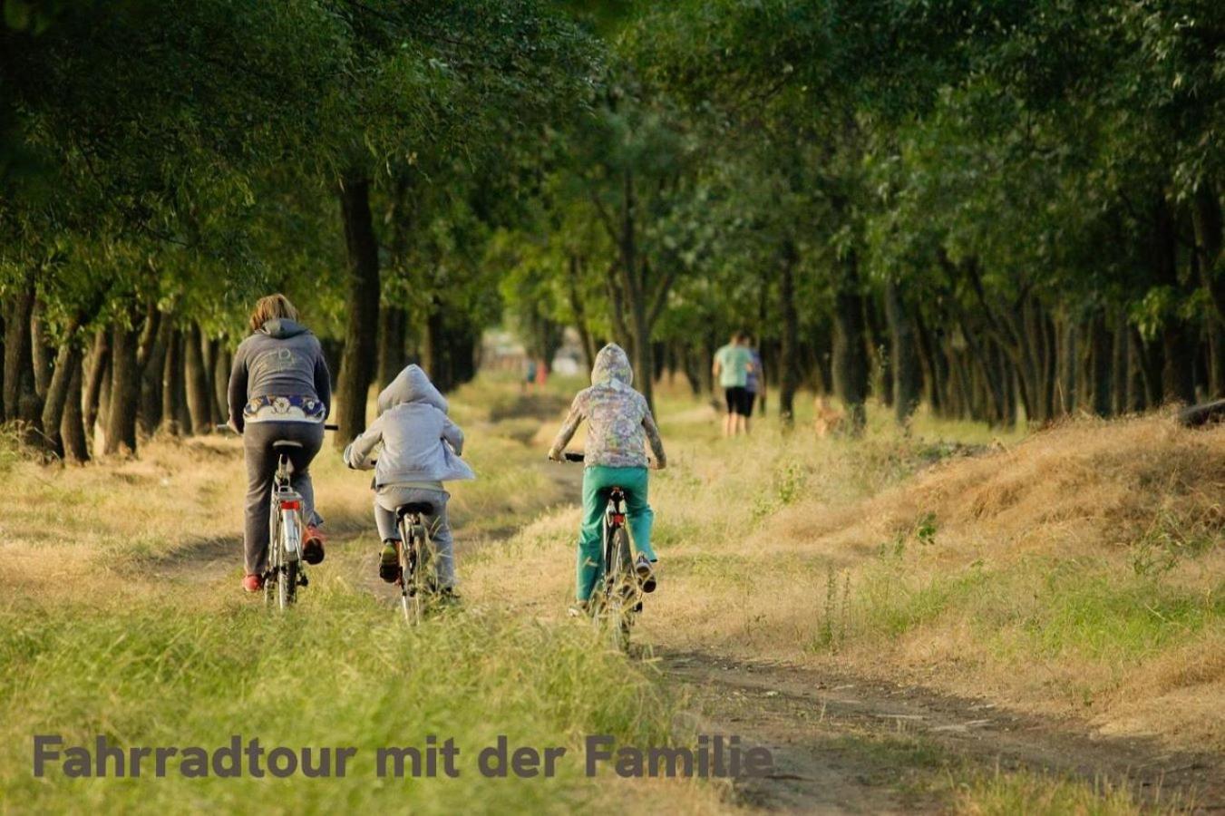 "Lilie" In Geestland-Langen, Ideal Fuer Familien & Homeoffice - Wlan & Parkplatz - 3 Zimmer, Balkon - Nahe Bremerhaven מראה חיצוני תמונה